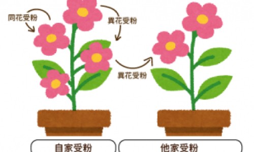 身上实然起了疙瘩且痒一会儿消一会又起怎么了-身上有疙瘩一会有一会没有了网 - 为你提供身上起疙瘩一会就下去 反反复复怎么回事、身上一会起个小疙瘩一会起个小疙瘩